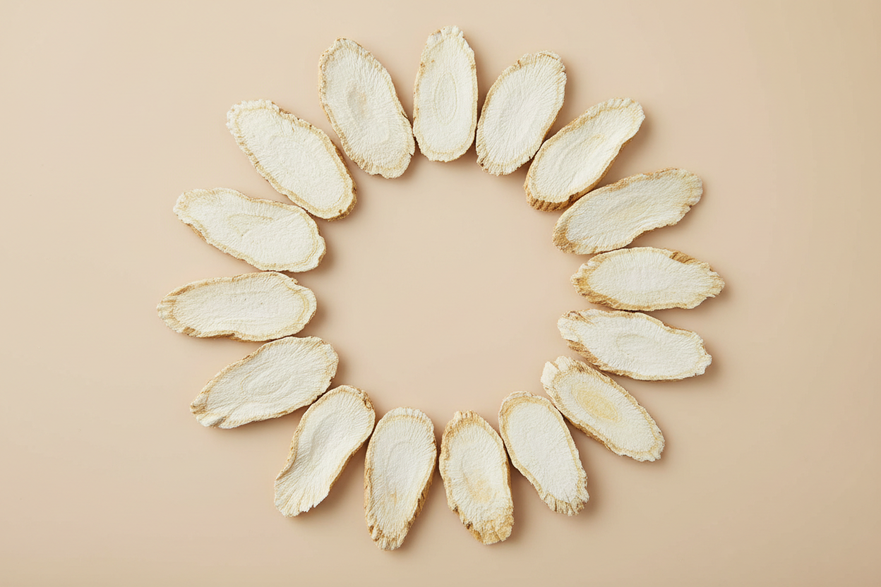 西洋参片 浅色背景